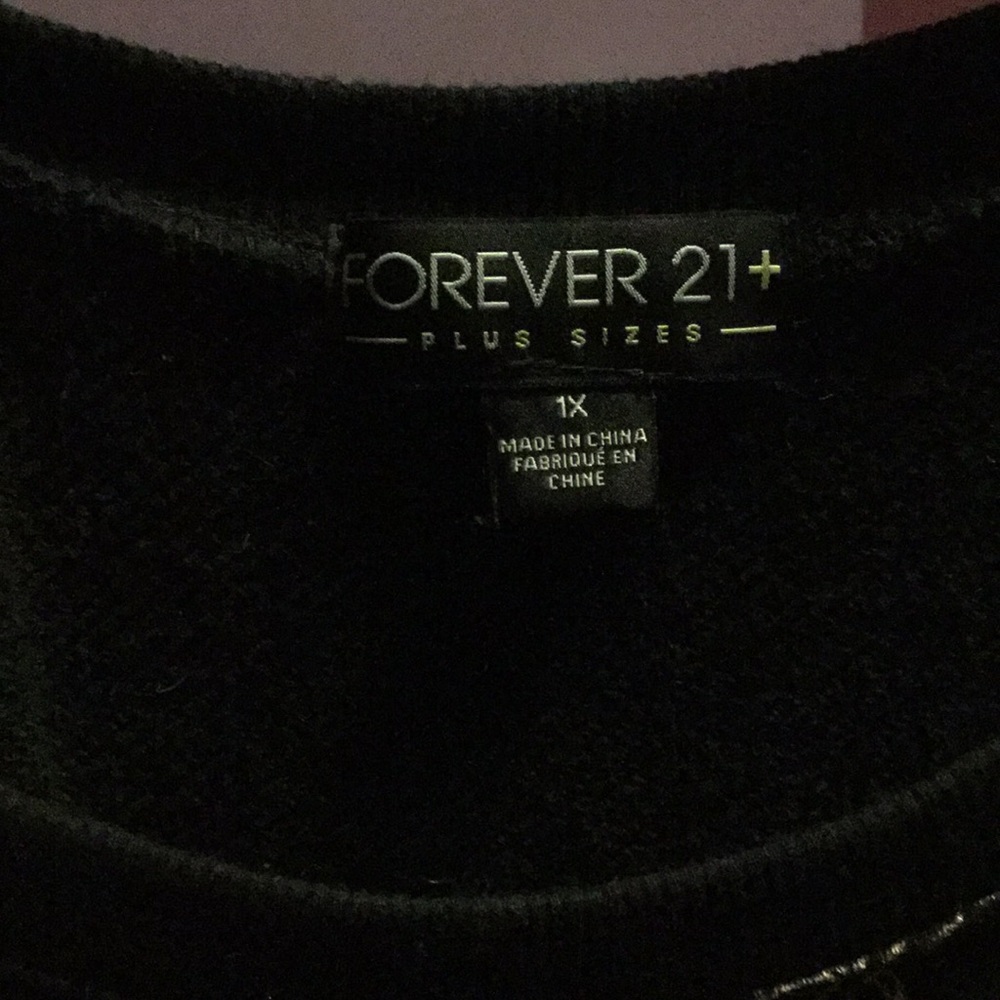 Forever 21 dinosaur sweater